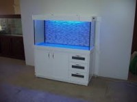 /album/ozlempetshop/images-4-jpg2/